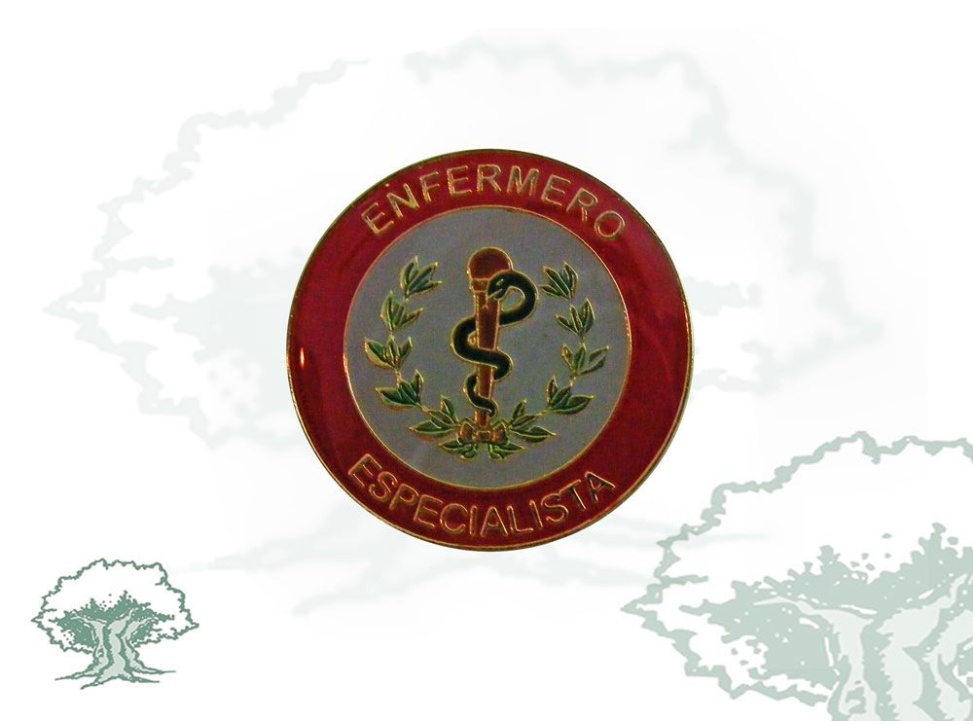 Distintivo Enfermero Especialista Ejército