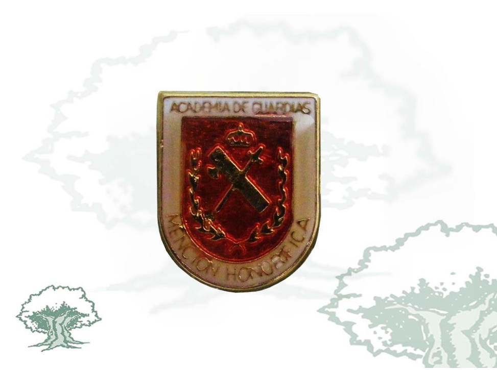 Pin Mención Honorífica Academia de Guardias