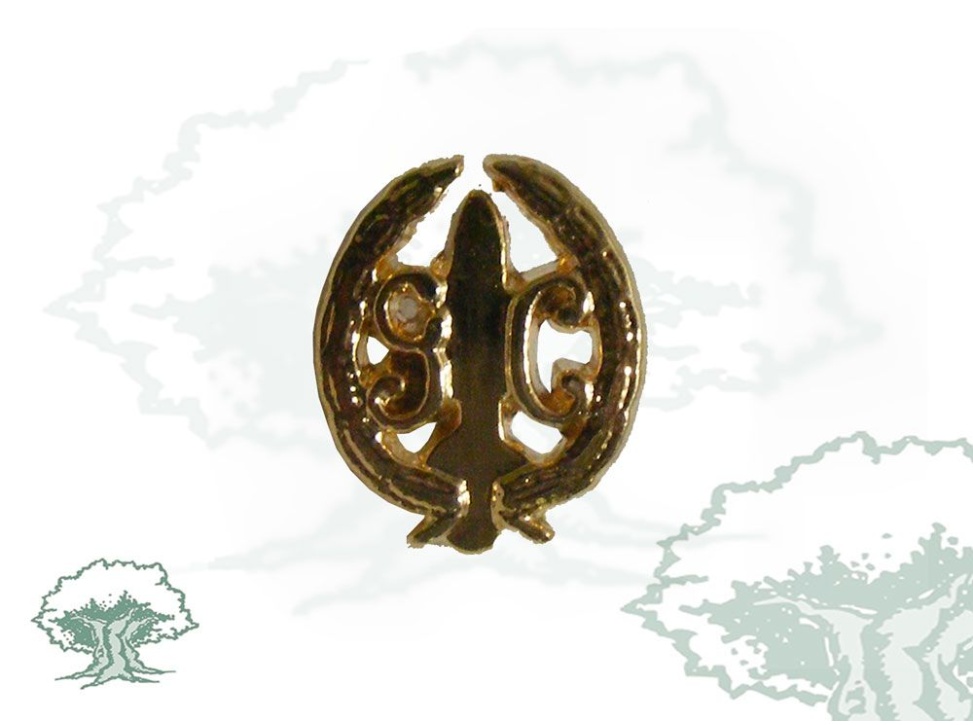 Pin GAR Guardia Civil perfilado
