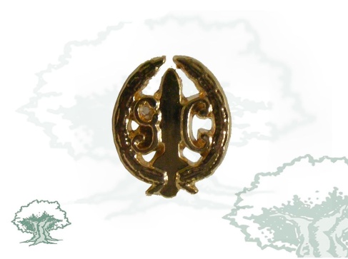 Pin GAR Guardia Civil perfilado