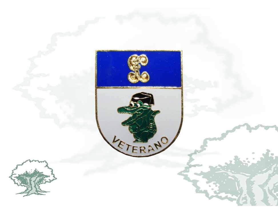 Pin Guardia Civil veterano