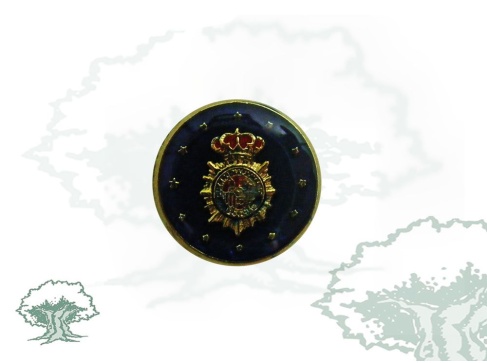 Pin Policía Nacional bandera europea
