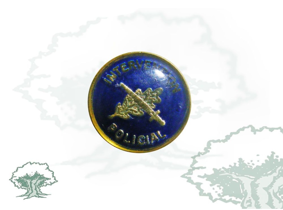 Pin Intervención Policial Policía Nacional