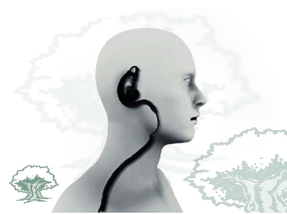 Micro auricular PIN-09-ASY