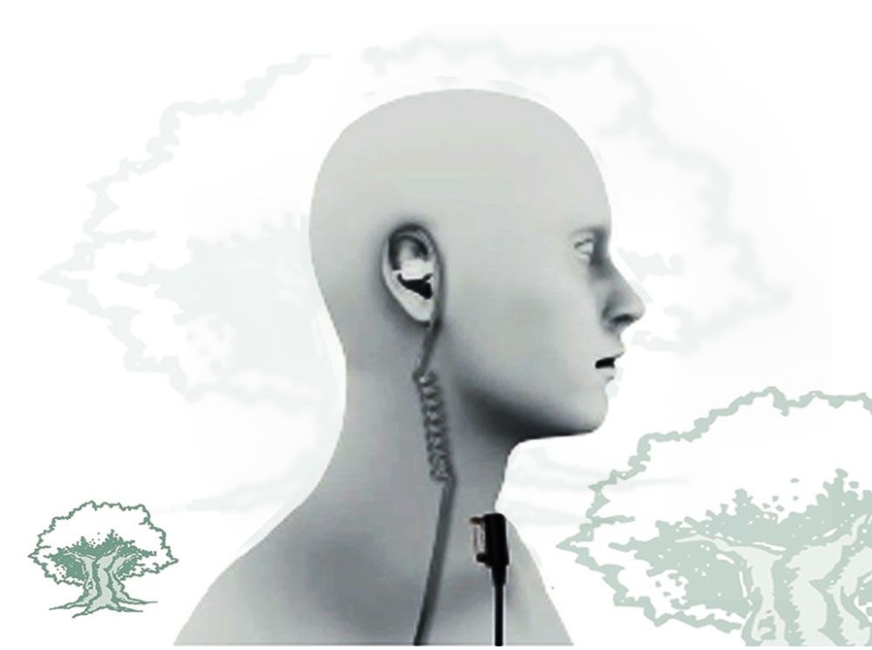 Micro auricular PIN-10-ASY