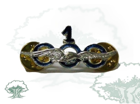 Distintivo 1000 horas de vuelo