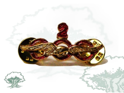 Distintivo 2000 horas de vuelo