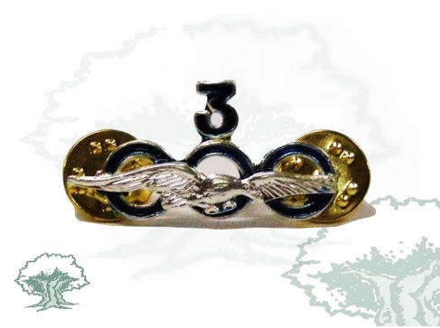 Distintivo 3000 horas de vuelo