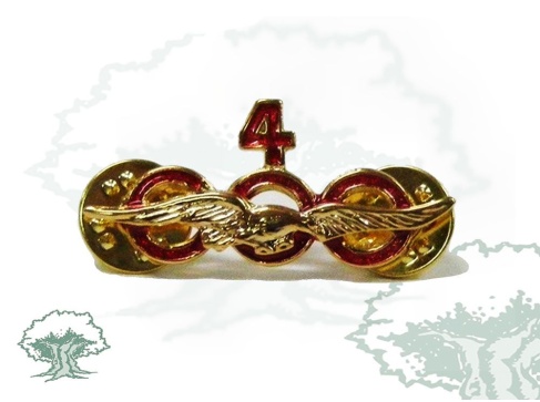 Distintivo 4000 horas de vuelo