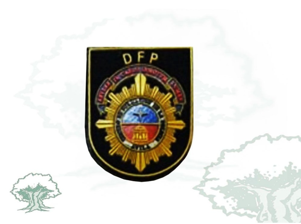 Distintivo Academia Policía Nacional