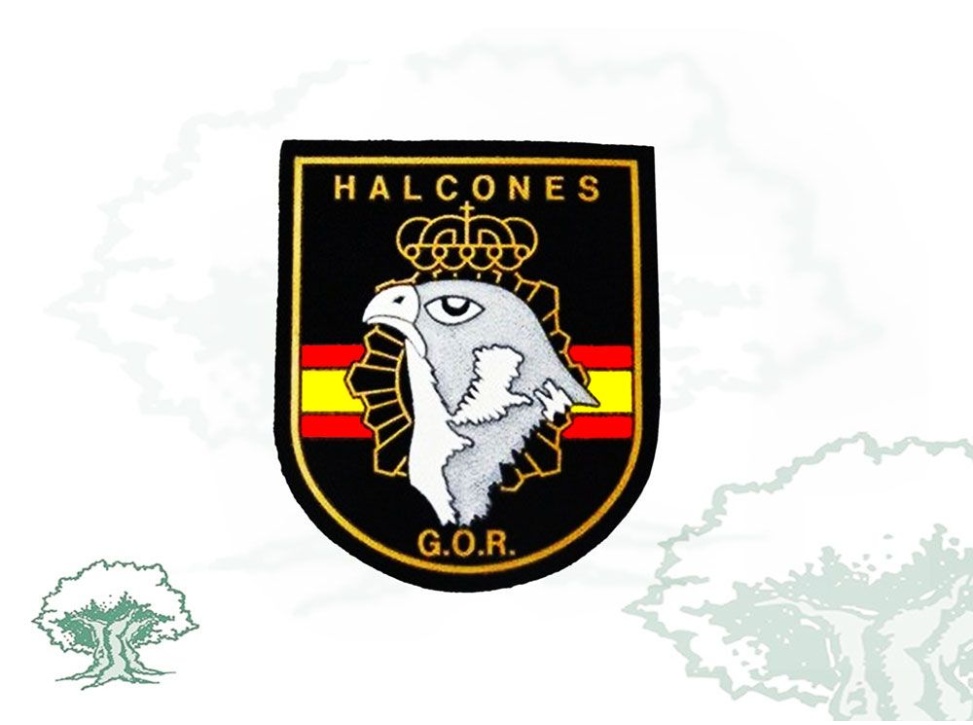 Parche GOR-Halcones Policía Nacional