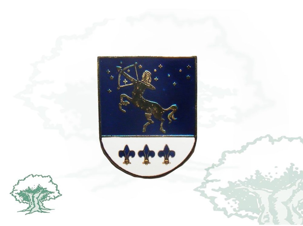 Distintivo Centauro Policía Nacional