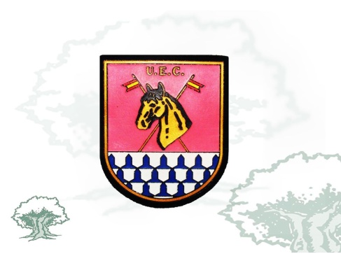 Parche UEC de la Policía Nacional miniatura