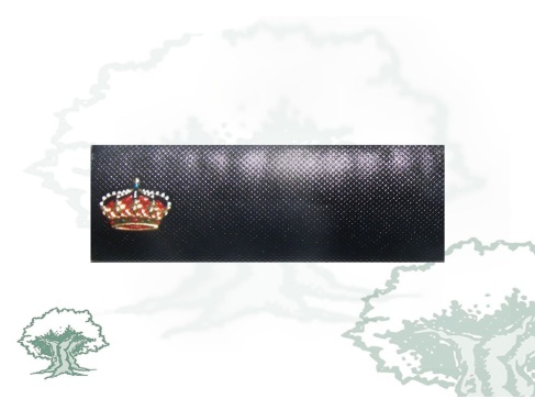 Tira de rango Alumno Policía Nacional