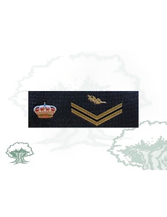 Tira de rango Escala Básica Policía Nacional nuevo modelo