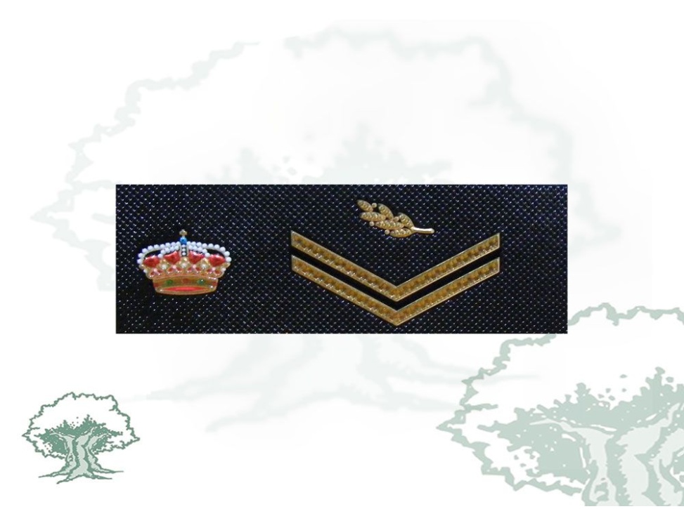 Tira de rango Escala Básica Policía Nacional nueva