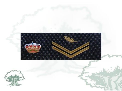 Tira de rango Escala Básica Policía Nacional nueva