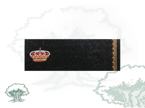 Tira de rango Inspector Alumno 1º Año Policía Nacional