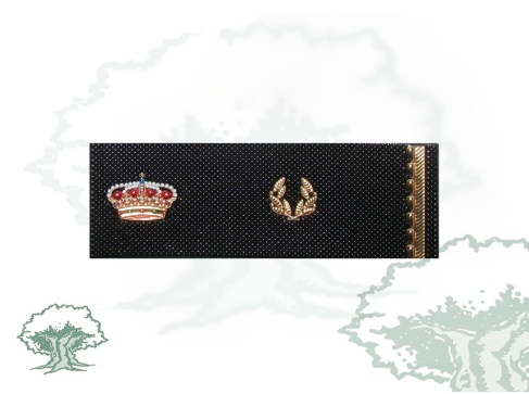 Tira de rango Inspector Alumno 2º Año Policía Nacional