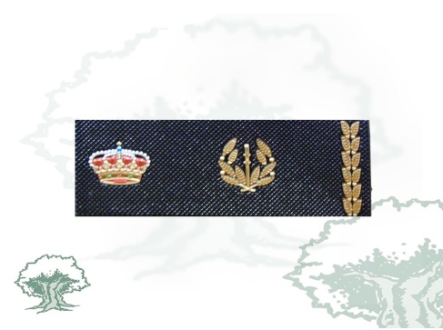 Tira de rango Inspector Jefe Policía Nacional nuevo modelo