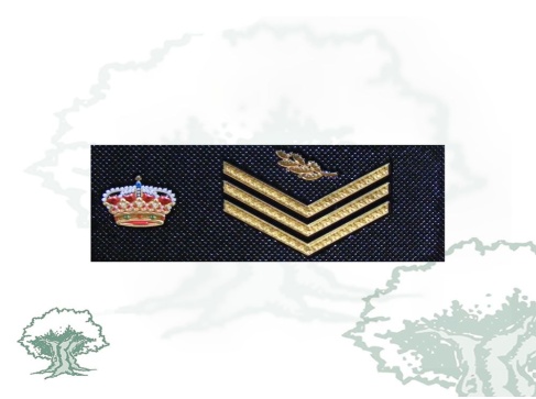 Tira de rango Oficial Policía Nacional