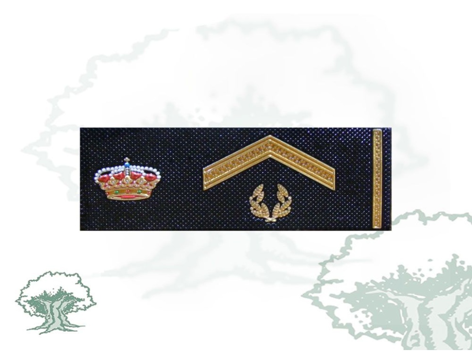 Tira de rango Subinspector Policía Nacional nueva