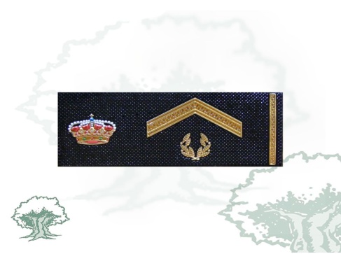 Tira de rango Subinspector Policía Nacional nuevo modelo