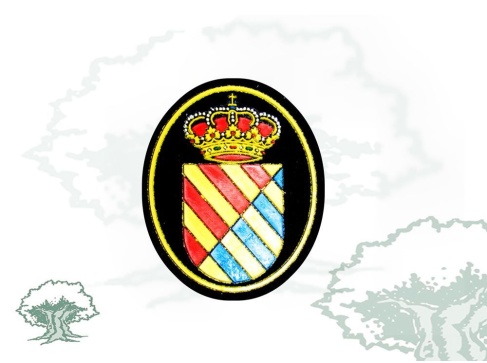 Distintivo UME Ejército