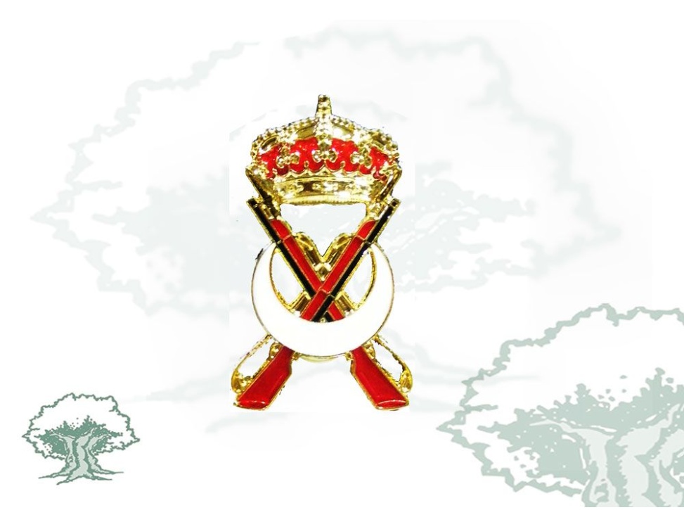 Distintivo Regulares Ejército