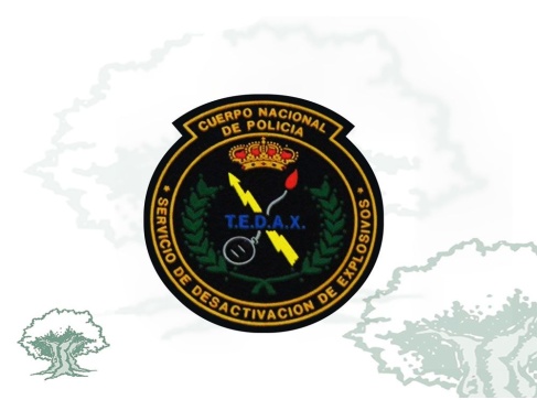 Parche Tedax Policía Nacional