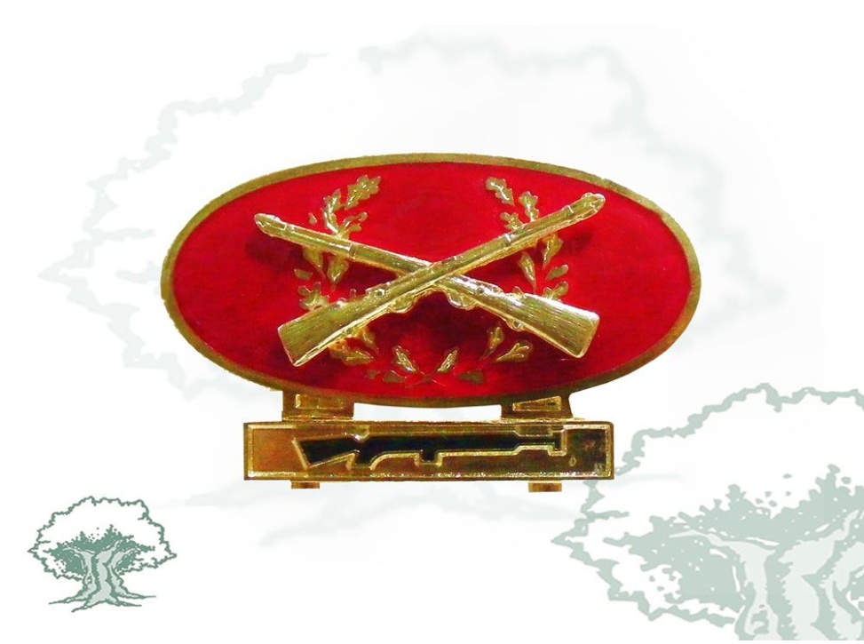 Distintivo Tirador Selecto Ejército