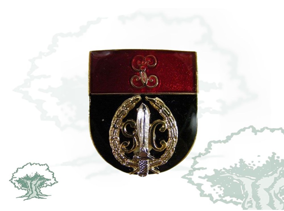 Distintivo de título GAR Guardia Civil
