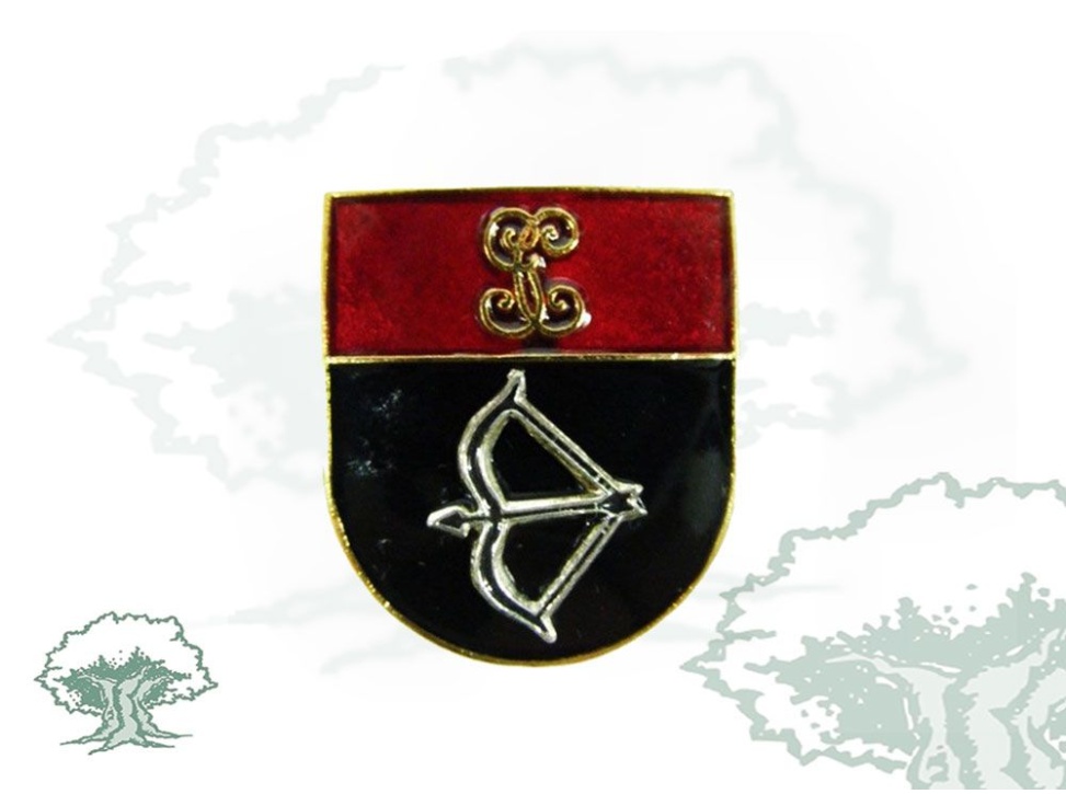 Distintivo de título Instructor de Tiro Guardia Civil