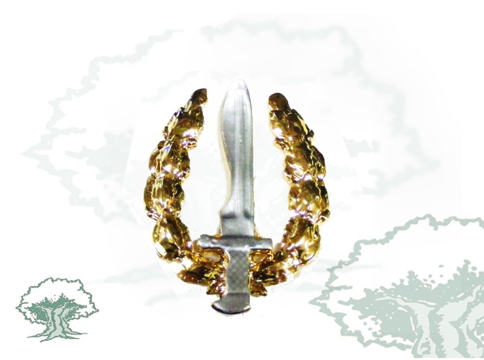 Distintivo GOE Ejército