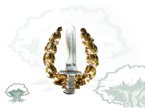 Distintivo GOE del Ejército Distintivo GOE del Ejército