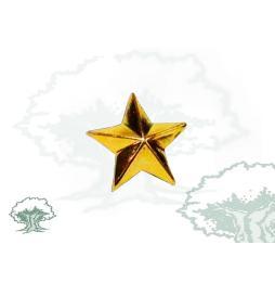 Estrella 5 puntas Estado Mayor