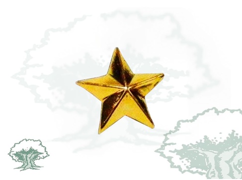 Estrella 5 puntas Estado Mayor