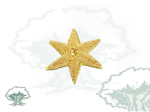 Estrella 6 puntas bordada