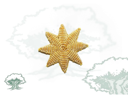 Estrella 8 puntas bordada