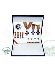 Condecoraciones Dedicación Policial de lujo