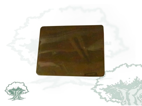 Hebilla para cinturón de gala