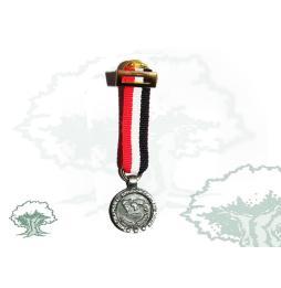 Medalla Irak miniatura