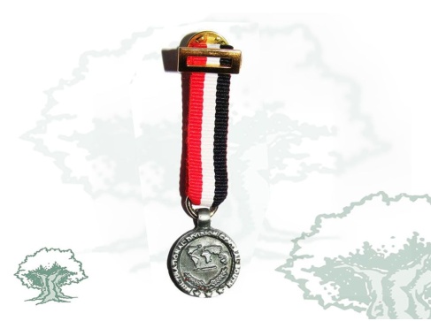 Medalla Irak miniatura
