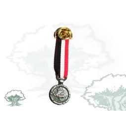 Medalla Irak miniatura