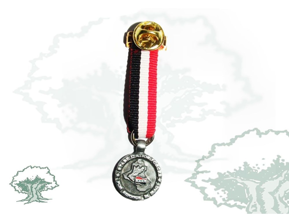 Medalla Irak miniatura