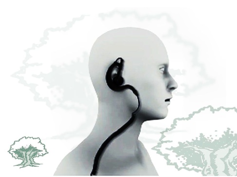 Micro auricular Pin 229 TPH 700