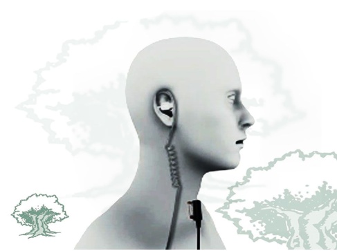 Micro auricular Pin 39 G2