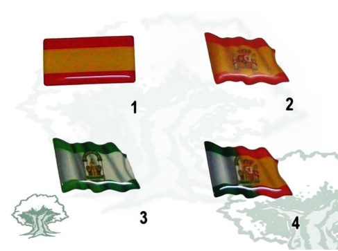 Pegatina bandera varios modelos