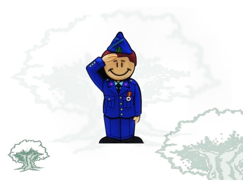 Pendrive Ejército del Aire