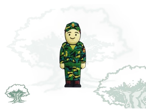 Pendrive Ejército